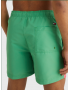 Men's Swimwear Tommy Hilfiger UM0UM02757-LY3  SF Medium Drawstring  GREEN